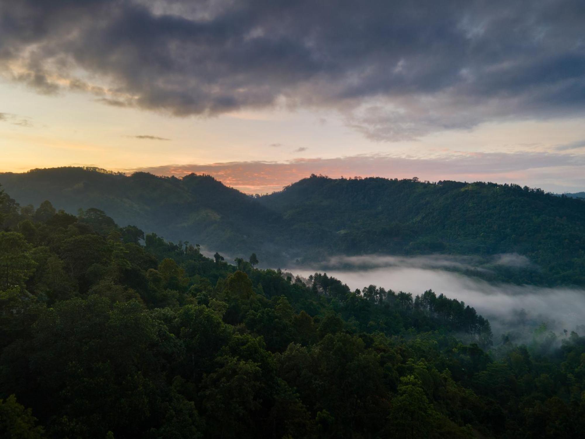 Mount Havana Kandy Bagian luar foto