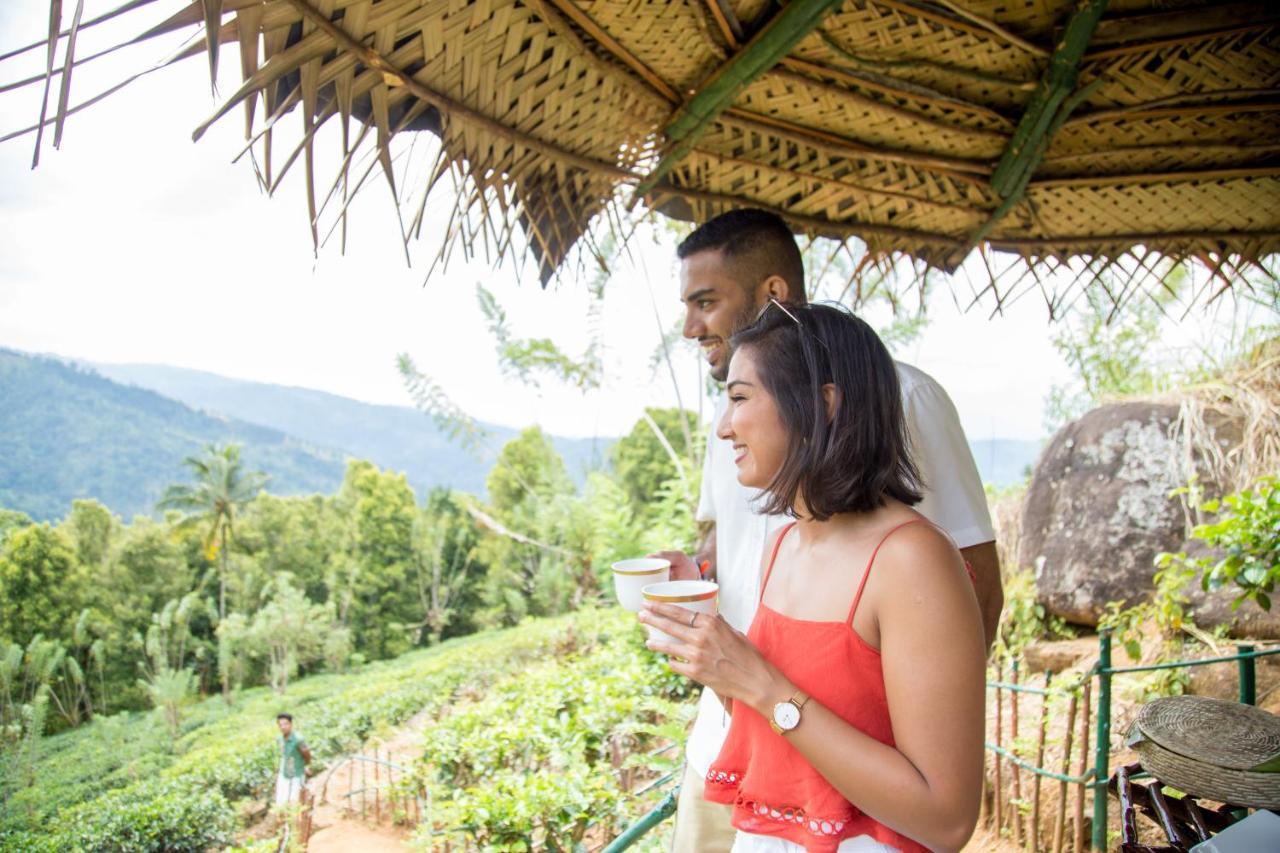 Mount Havana Kandy Bagian luar foto